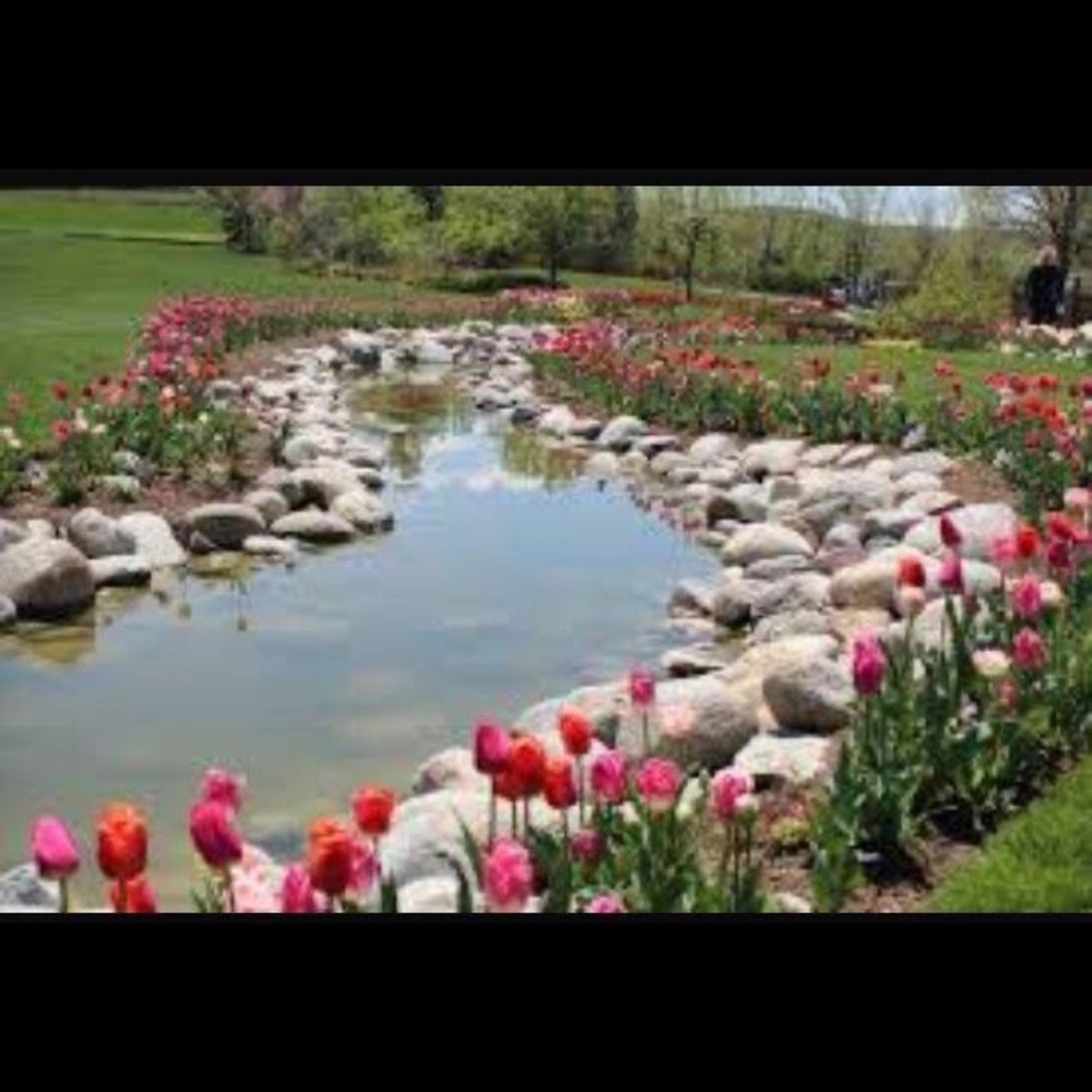 Meet your Posher, Ninix